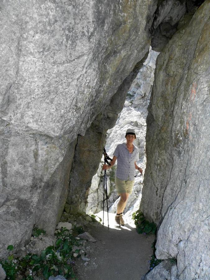 Ferienwohnungen Salvenmoser Johanna Scheffau am Wilden Kaiser Exterior foto